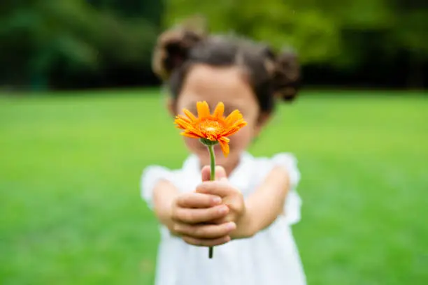 parar y observar los pequelos regalos que nos ofrece la vida, en nuestro día a día.